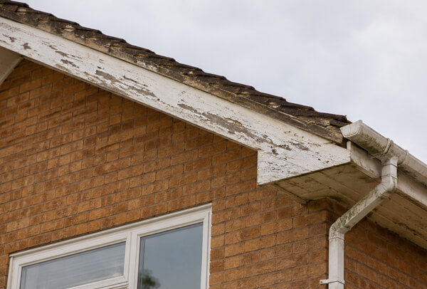 Bargeboards gutters and downpipes in Oxford before exterior painting