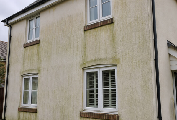 Bedford exterior wall before cleaning with algae marks below sills and gutter areas