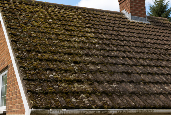 Roof in Bedford before cleaning, with moss and weather staining on the tiles