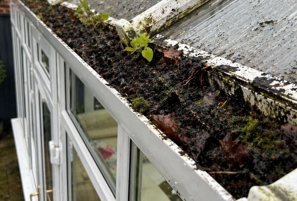 Conservatory gutter before cleaning in Milton Keynes