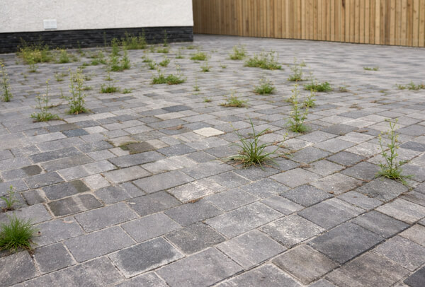 Driveway cleaning transformation before results in Milton Keynes