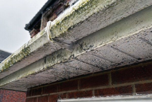 Fascias, soffits and gutters before washing in Milton Keynes