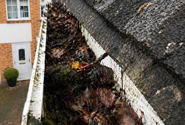 Gutter and downpipe before clearing in Milton Keynes